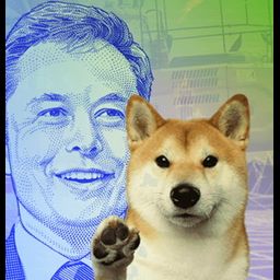 DogeMaxMining referral codes and program details