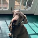 @ollybot referral code for  Perksy