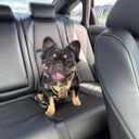 @Mattys referral code for  Underdog Fantasy