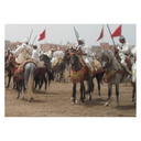 DocteurMyst referral code for  Teaser Fast