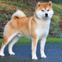 @KayFree referral code for  LEO