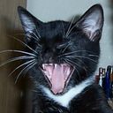 @igotit4thelolo referral code for  Buddies - Pet Care Made Easy