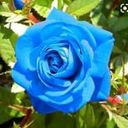 @shadohawk referral code for  Remint