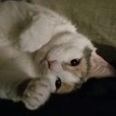 Rob referral code for  Cirkul