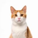Jeanne referral code for  Wealthsimple Tax