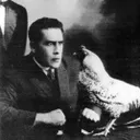 Ollie author photo 