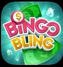 Bingo Bling referral codes and program details